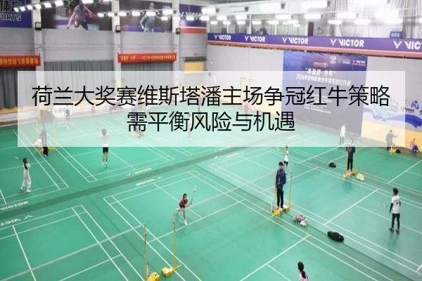 he-lan-da-jiang-sai-wei-si-ta-pan-zhu-chang-zheng-guan-hong-niu-ce-lve-xu-ping-heng-feng-xian-yu-ji-yu-3-523.jpg