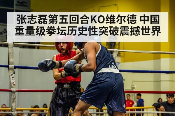 张志磊第五回合KO维尔德 中国重量级拳坛历史性突破震撼世界